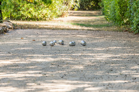 Photographe immobilier Real Estate